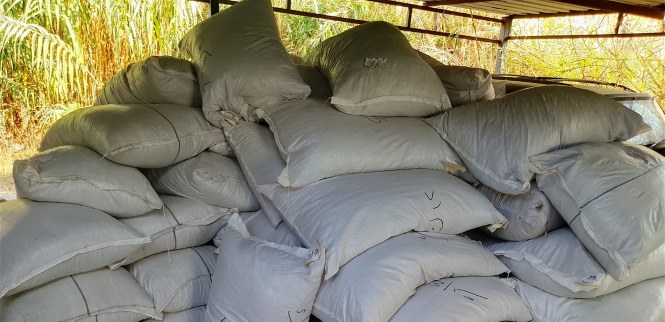 في بيروت وصيدا.. "الجمارك" تضبط مواد غذائية وسكاكر ومشروبات غازية مهرّبة