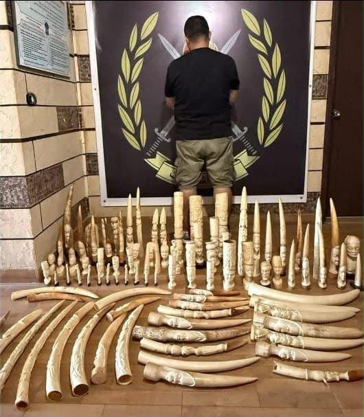 النبطية- سرق 96 تحفة من العاج... لبيعها!