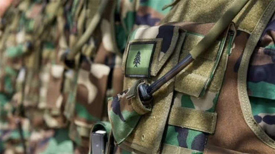 الجيش يوقف رئيس عصابة سرقة و6 مواطنين بجرائم إطلاق النار وحيازة أسلحة والتورط في إشكالات