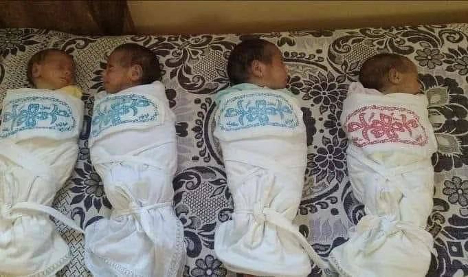 الاحتلال يغتال 4 توائم في غزة