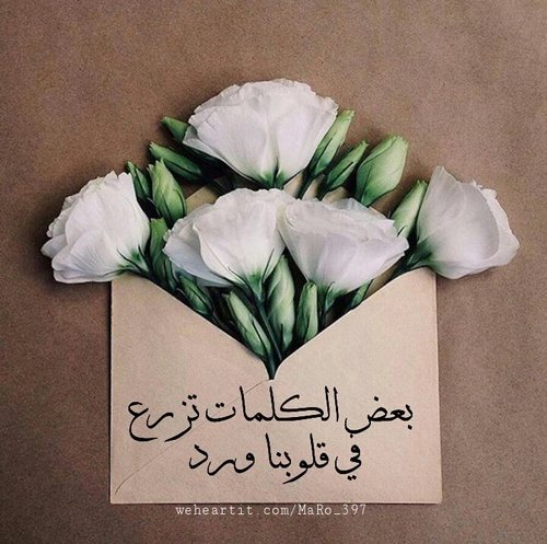 "صفو المشاعر وحلاوة الكلمات"!
