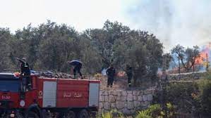 الاحتلال يحرق آلاف الهيكتارات جنوب لبنان... كارثة تصيب موسم الزيتون!