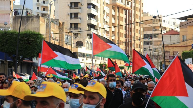 بالفيديو: مسيرة شعبية في صيدا تضامنًا مع غزة