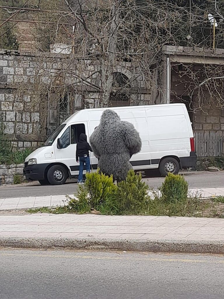 بالصورة -  ظهور "غوريلا" في فاريا!