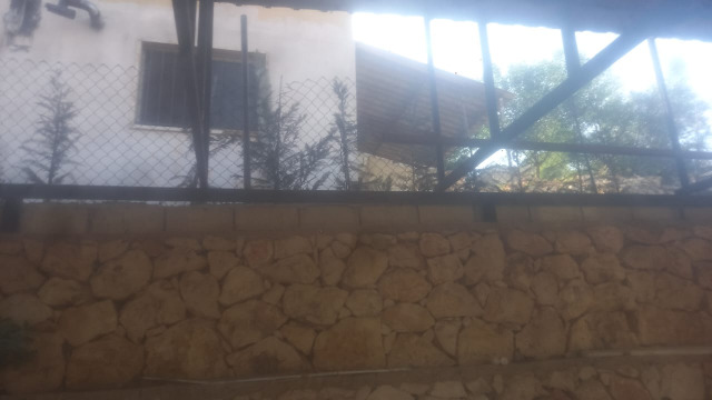 الدولة تطبق القانون على شجرة مخالفة في طيرفلسيه!