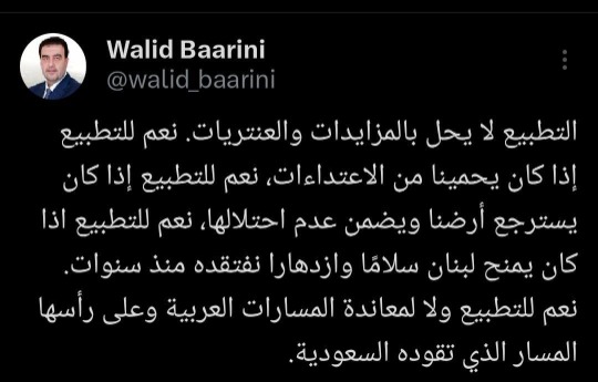 البعريني: نعم للتطبيع إذا كان يحقق الأمن والإزدهار للبنان