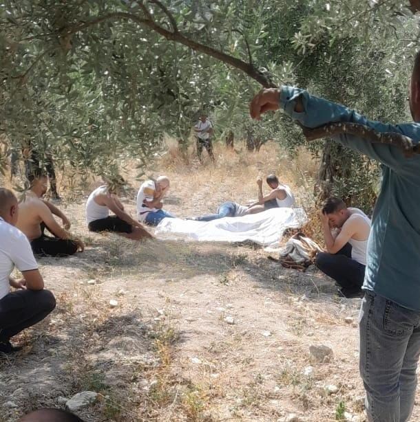 في هذه البلدة اللبنانية .. "جثّة معلّقة" على غصن شجرة!