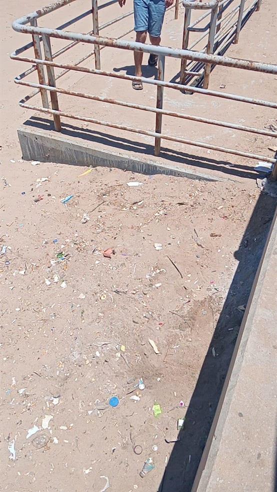بلدية صيدا تنوه بالإستجابة السريعة لشركة "NTCC" تنفيذ حملة  نظافة لشاطىء المسبح الشعبي وتأسف لانتشار النفايات مجددًا