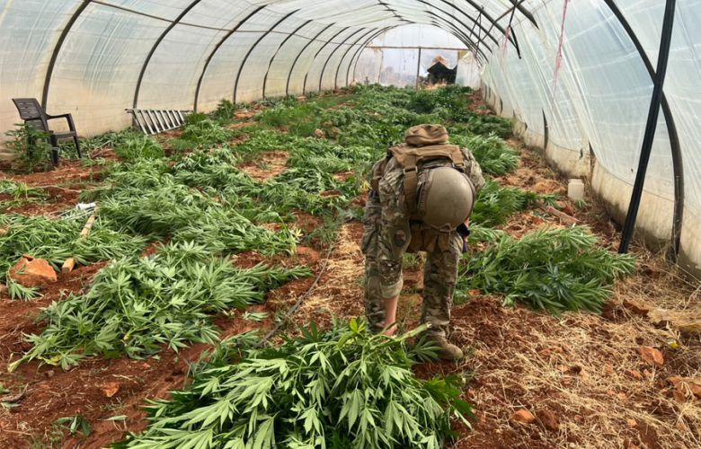 بالصور - الجيش يضبط كمية من المخدرات ويتلف 14 خيمة مزروعة بالماريجوانا