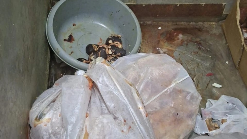 صورٌ مرعبة من داخل مسلخ في بيروت... إقفاله بالشمع الأحمر