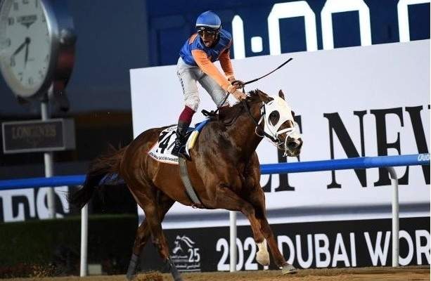 فوز يتحول إلى مأساة في كأس دبي العالمي للخيول