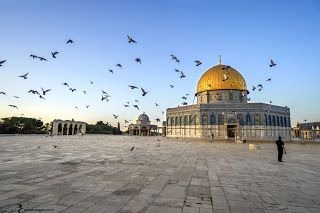 لبيك يآ بيت المقدس - زيَاد عَبْد القادر