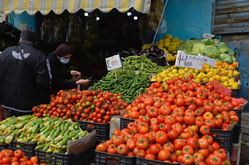 نقابة مصدري ومستوردي الفاكهة والخضر طالبت بتشديد الرقابة ,غربلة المصدرين