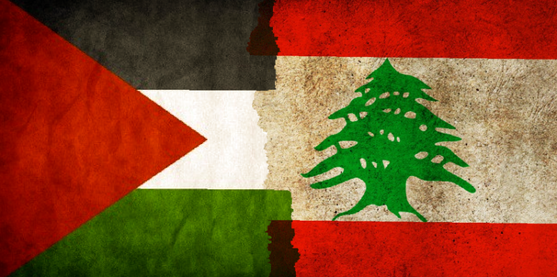 ممثلة لبنان لدى الأمم المتحدة: وقف إطلاق النار حل مؤقت