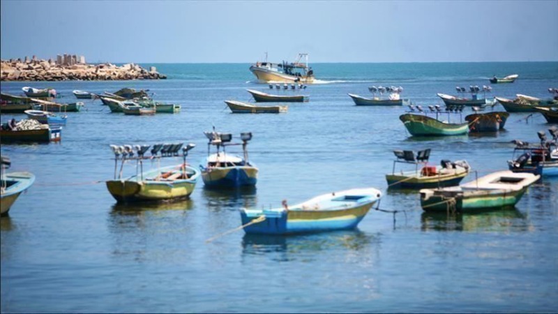 فتح بحر غزة أمام الصيادين