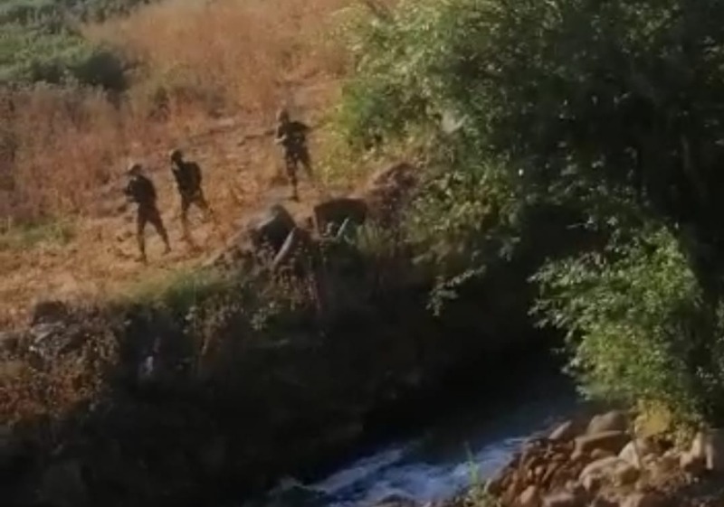 قوة إسرائيلية تعتدي على احد المنتزهات عند الضفة الشرقية لنهر ‎الوزاني
