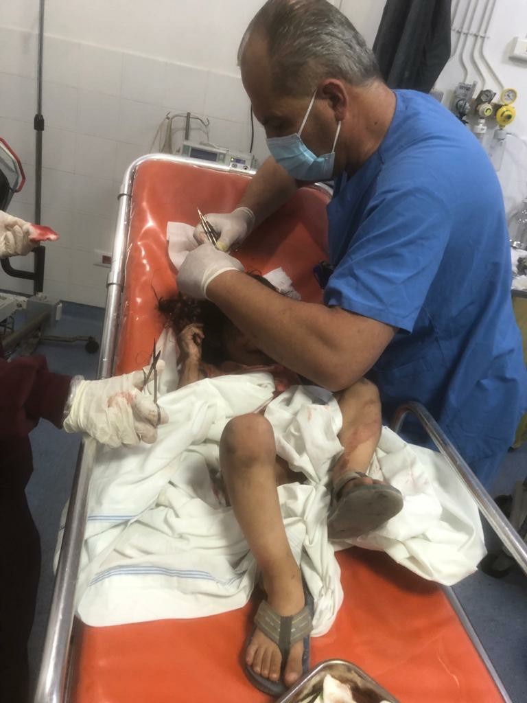 صيدا: العناية الإلهية تنقذ مواطناً وحفيده بعدما هاجمهما كلب في منزلهما