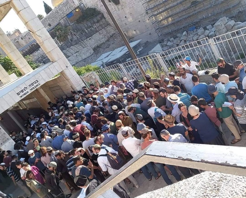 ارتفاع عدد المستوطنين المقتحمين للمسجد الأقصى منذ صباح اليوم إلى 950 مستوطنًا بحماية مشددة من شرطة الاحتلال