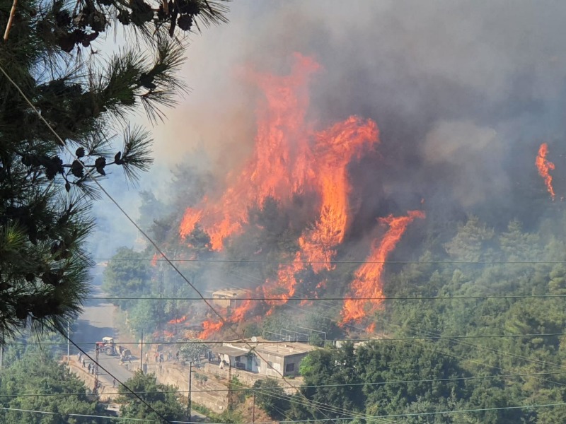 جهود لاهماد حريق غابة المرغان الصنوبرية في القبيات
