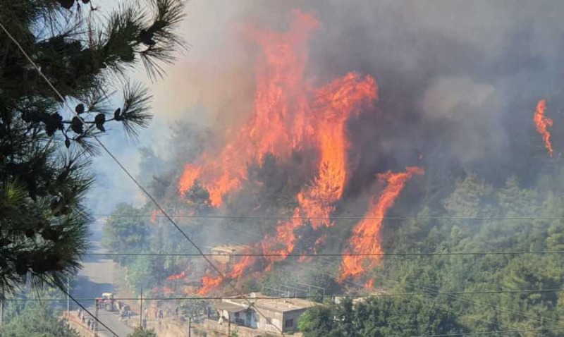 الحرائق كشفت ضعف إمكانيات لبنان في مواجهة الكوارث والأزمات الطبيعية