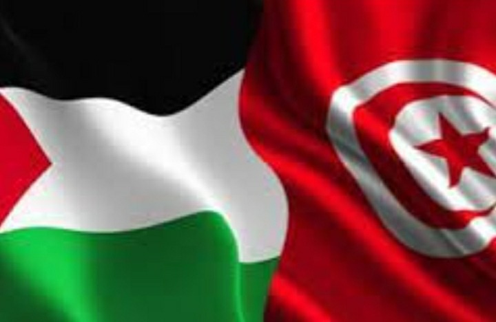 مساهمة فلسطين تلقى ترحيبا كبيرا من التونسيين