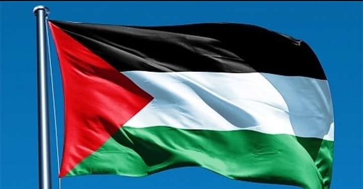 الفنان الفلسطيني محمود سلامة يفوز بجائزة أفضل فيلم كرتوني قصير في مهرجان "أوروفاتي"