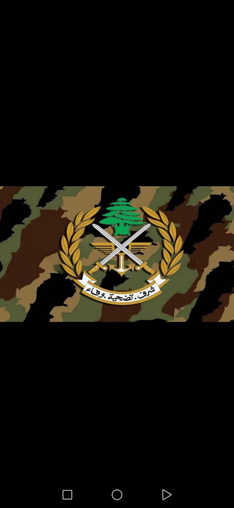 الجيش اللبناني يعثر على المتسلل!!