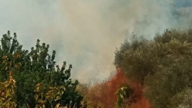 حريق كبير بين سيروب والمية ومية يقترب من المنازل