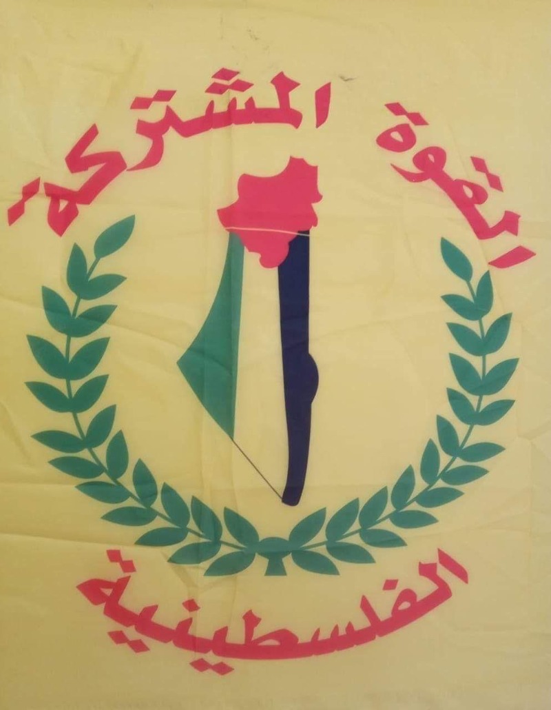 القوة الامنية المشتركة في مخيم عين الحلوة رحبت بقرار وزير العمل