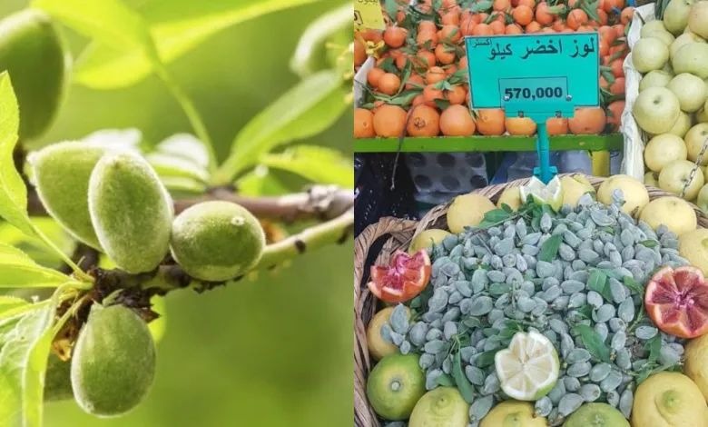 سعر اللوز الأخضر يتخطى التوقعات: الكيلو بنصف مليون!