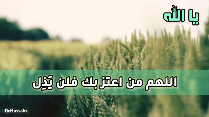 من اعتزّ بالله فلن يذلّ