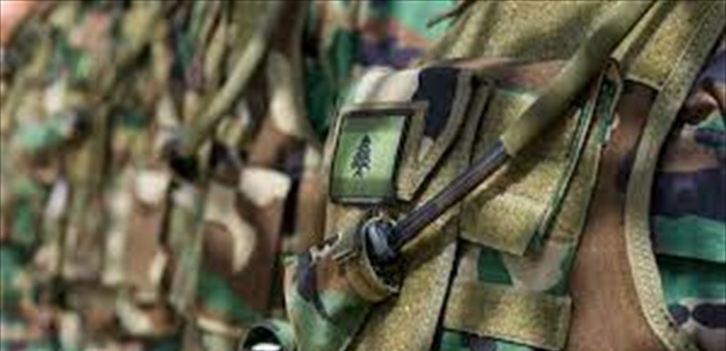 ​ الجيش: دخول المسابح العسكرية خاضع لتعليمات محددة