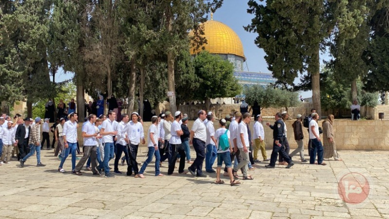 الهباش يحذر من مخاطر دعوات إسرائيلية لاقتحام الأقصى بداية الأسبوع المقبل