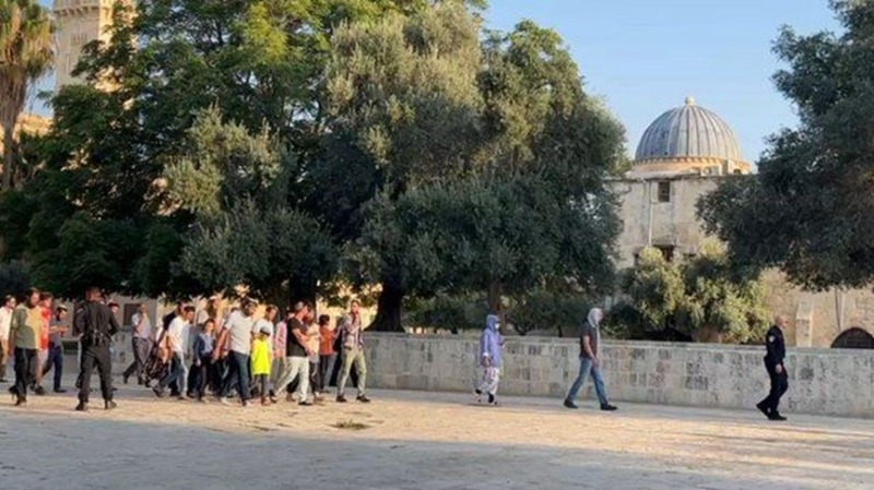 بالفيديو: مئات المستوطنين يقتحمون المسجد الأقصى بحماية مشددة من قوات الاحتلال