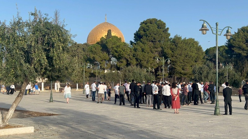 اللجنة الرئاسية لشؤون الكنائس في فلسطين تناشد كنائس العالم التدخل العاجل لوقف عدوان المجموعات الاستيطانية المتطرفة على المسجد الأقصى