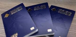 أزمة جوازات السفر الى الحلحلة