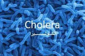 إعلان حال الطوارىء لمكافحة وباء الكوليرا...