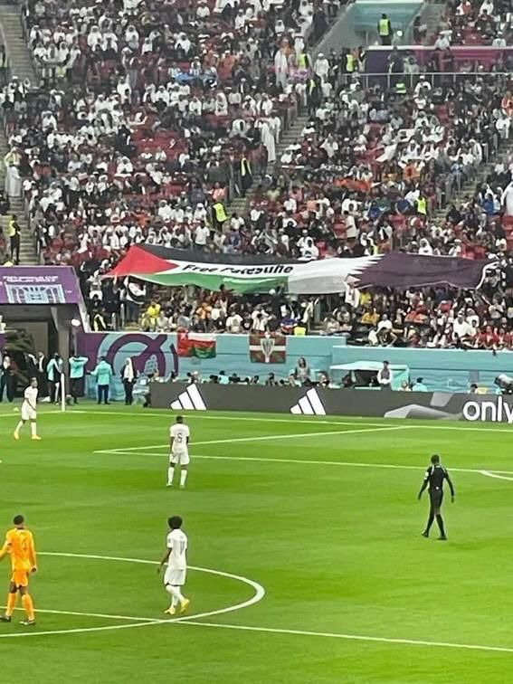 رفع العلم الفلسطيني إلى جانب القطري خلال مباراة قطر وهولندا