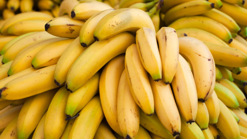 لهذا لا يعتبر الموز الفاكهة المناسبة في فصل الشتاء