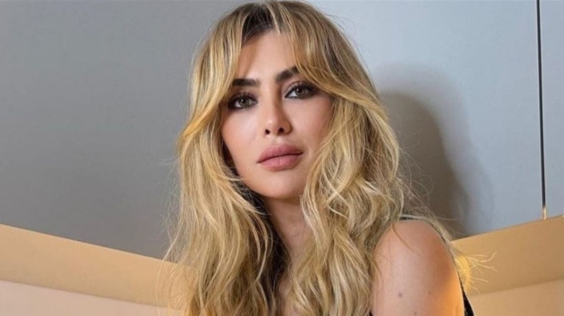 تفاصيل جديدة حول مذكرة البحث والتحر بحق ستيفاني صليبا