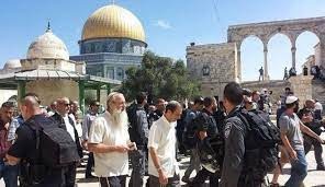مخطط "جماعات الهيكل"الذي قد يثير العاصفة القادمة في المسجد الاقصى
