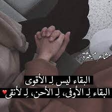 "البقاء ليس للأقوى"!