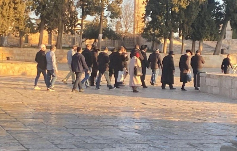 المستوطنون يجددون اقتحامهم للمسجد الأقصى المبارك