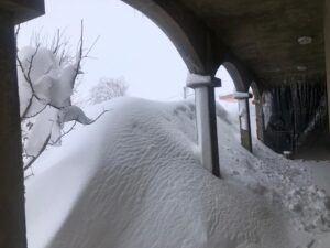 "لبنان الحلو" الزائر الابيض في لبنان...