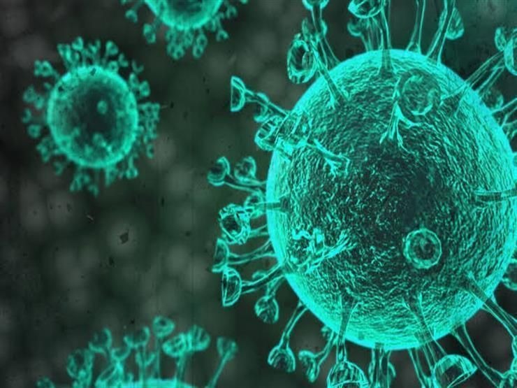 فيروس “قاتل” ينتشر في بلدين… ما هي أعراضه؟