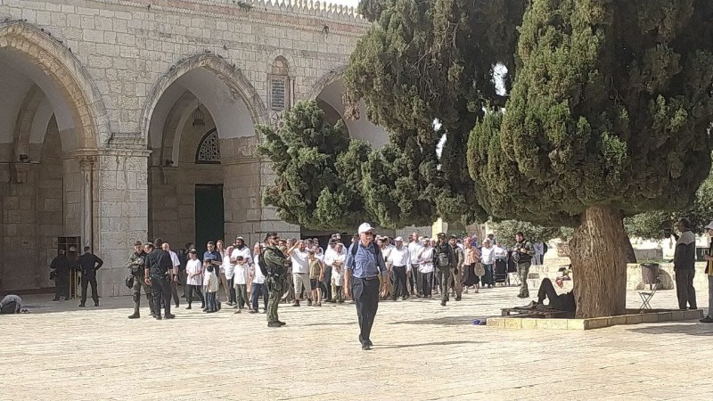 1531 مستوطنا يقتحمون المسجد الأقصى بحماية قوات الاحتلال