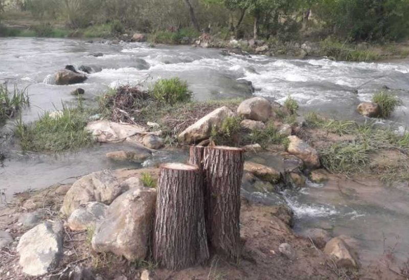 بالصوَر.. مجزرة تطال الأشجار المعمّرة على ضفاف نهر الخردلي