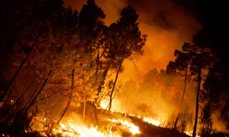 وزير البيئة يحذّر من خطر الحرائق السريعة الانتشار اليوم