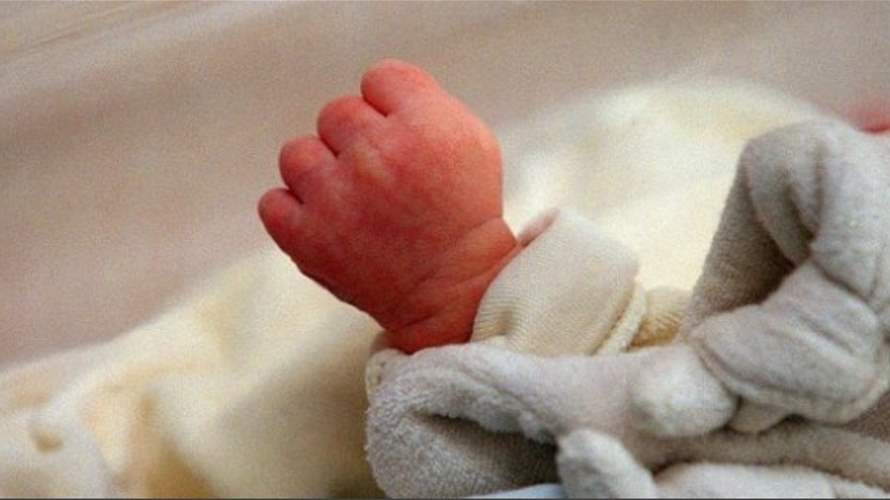 في طرابلس.. هذا ما فعله كلب بطفلة حديثة الولادة!