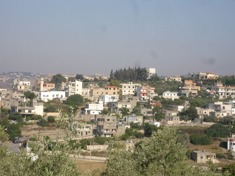 "لبنان الحلو".. بلدة كوثرية السياد - الجنوب